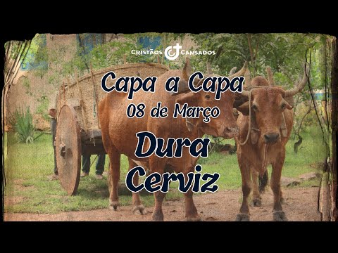 Vídeo