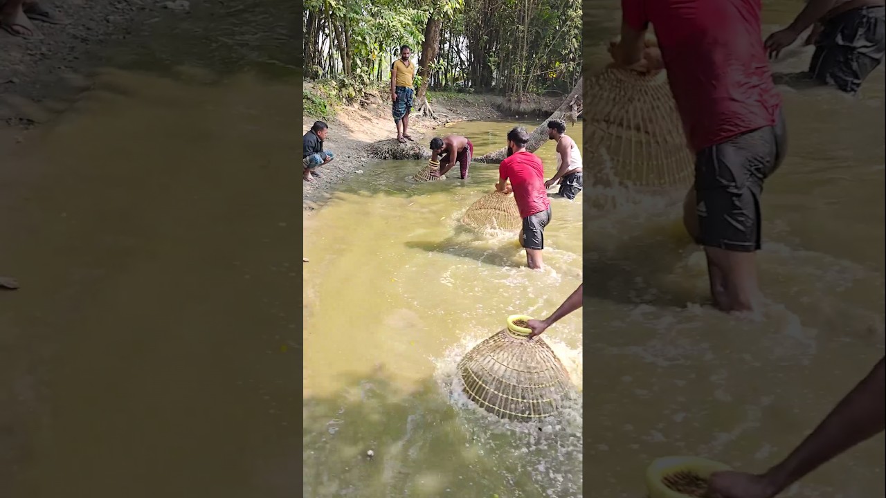 Wow! Amazing Polo Fishing Videos ! Best Big Fish Catching🐟Primitive fishing 