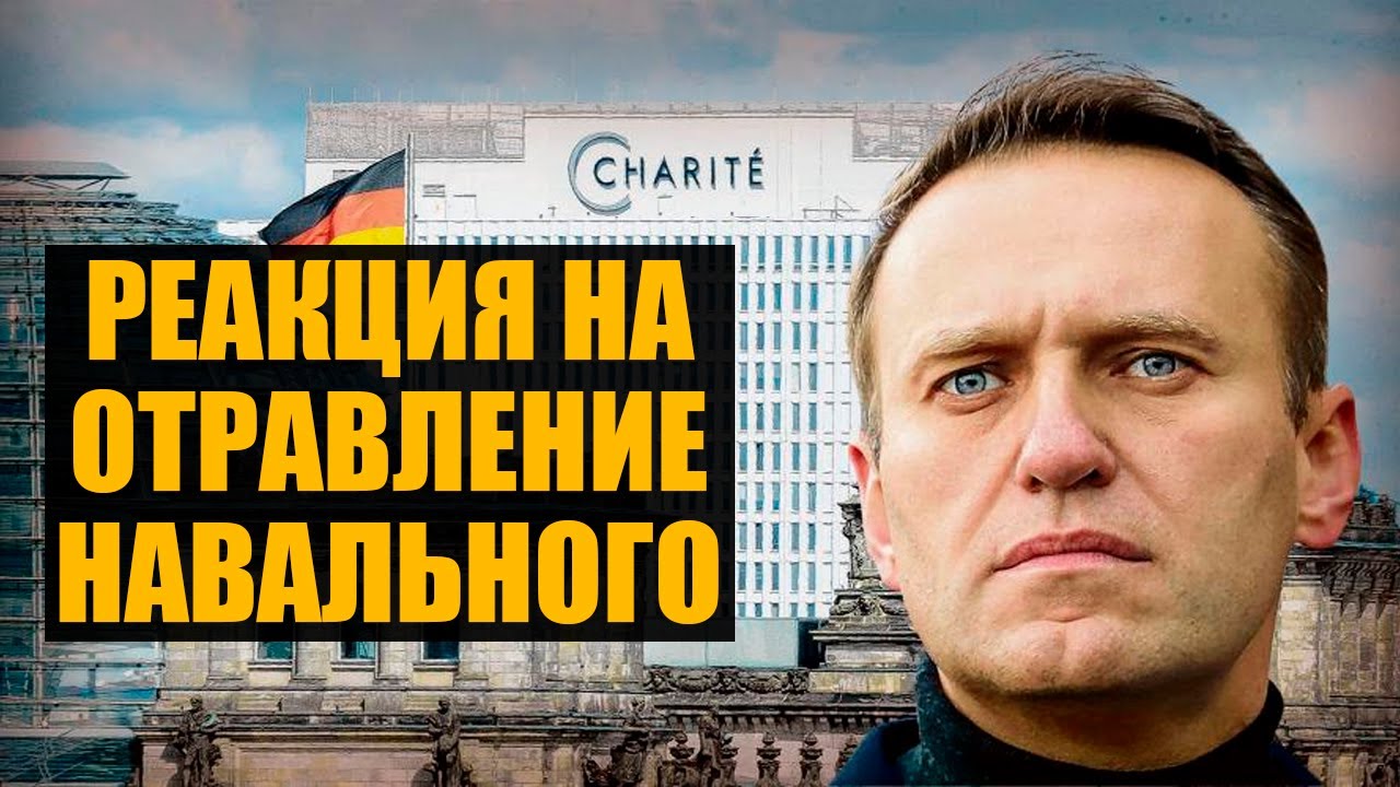 Патрульный вест новичок
