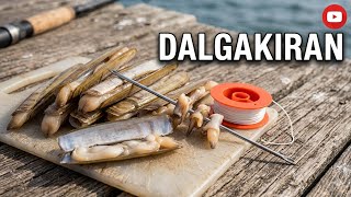 YEM NASIL TAKILIR (sülünez) yem ipi+yem şişi nasıl kullanılır 