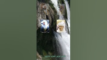 سورة التكاثر بعدت مقرئين 💛 #سورة_التكاثر #ماهر_المعيقلي #اسلام #القران_الكريم #شاشه_سوداء #ترتيل