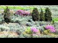 UMBRIA - TREKKING  SPELLO - COLLEPINO [full HD]