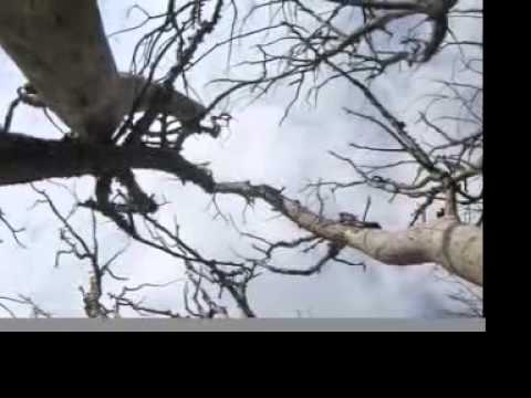 atatlas - What is? - YouTube