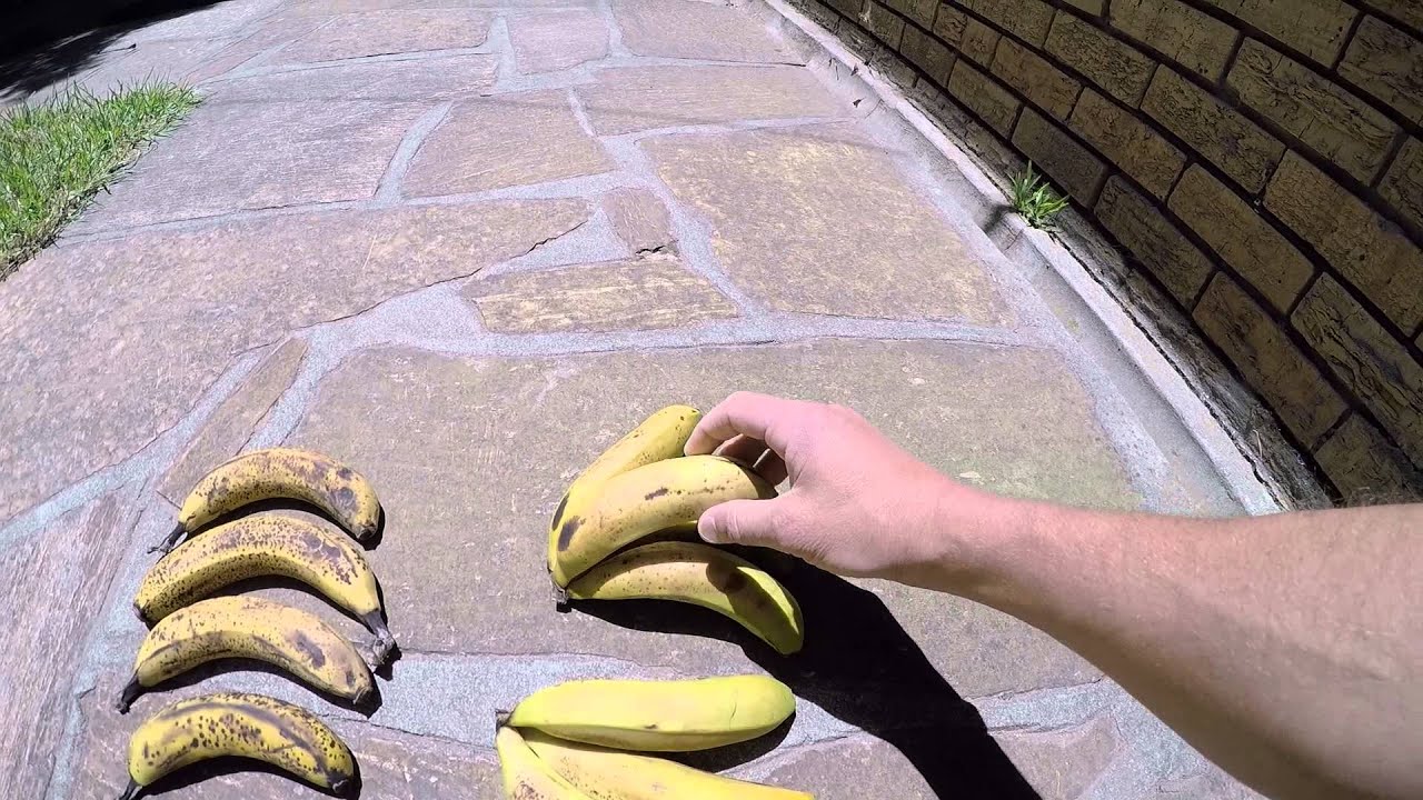 How To Know When Bananas Are Ripe Important for Digestion YouTube