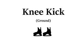 Freestylepedia Kneekick