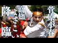 菅原小春さん、高知よさこい特別演舞に降臨　魂のダンス