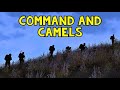 Command and camels  arma 3