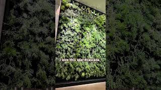 Visiting Portland? I highly recommend the Cascada spa.