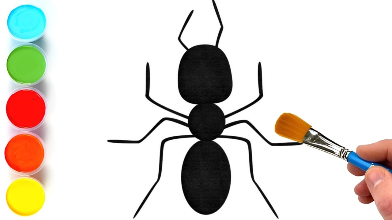How to draw an ant step by step ant drawing easy YouTube