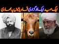 Qadiani ki eid in pakistan  qadiani ki qurbani  end of prophethood