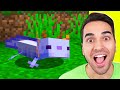 HO TROVATO L'AXOLOTL PIÙ RARO DI MINECRAFT!!