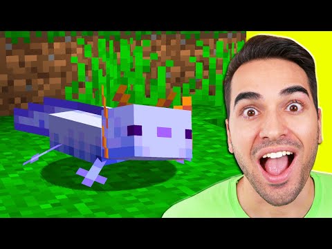 Video: Dove Trovare Lumache In Minecraft