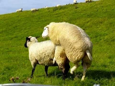 Naked men gay sports uk Trannys in deutschland