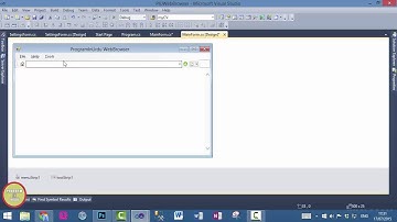 Project - C# Create Web Browser Application In Urdu - Save Setting Option (Video 2)