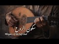 سكون الروح Ney Oud Whispers Of The Sufi Soul 