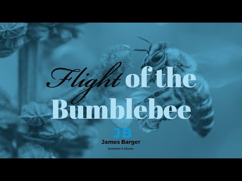 Flight Of The Bumblebee James Barger Saxophone