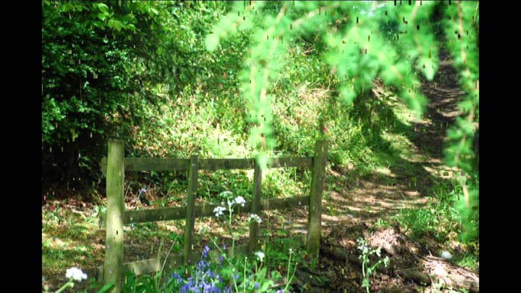 Richard Lane YouTube