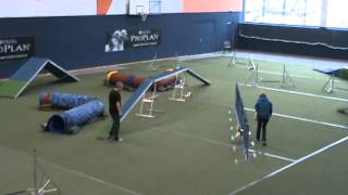 20120219 3 Speeddogscup Luna Aol 01