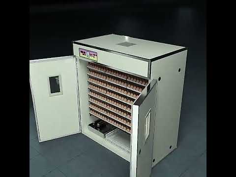 Video: Automatisk inkubator: tips for valg. Automatiske egginkubatorer: anmeldelser, priser
