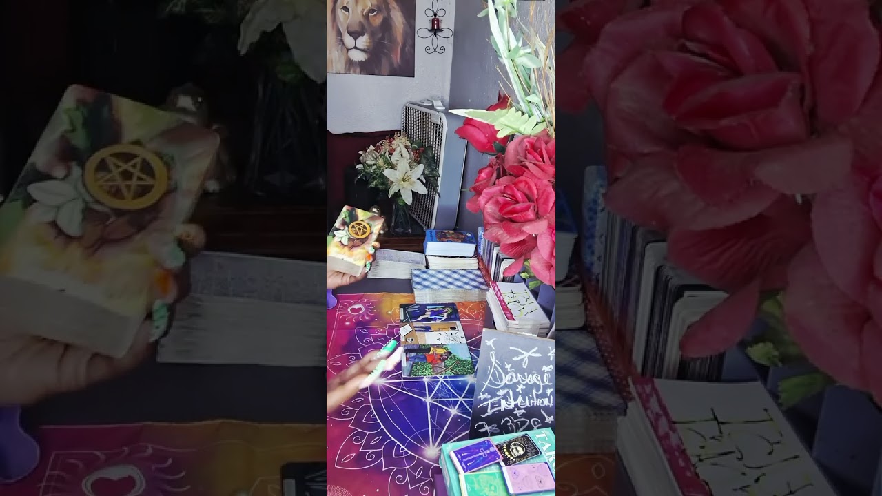 🤣Your Lil ssA Is DANGEROUS! Somebody About To FA&FO...