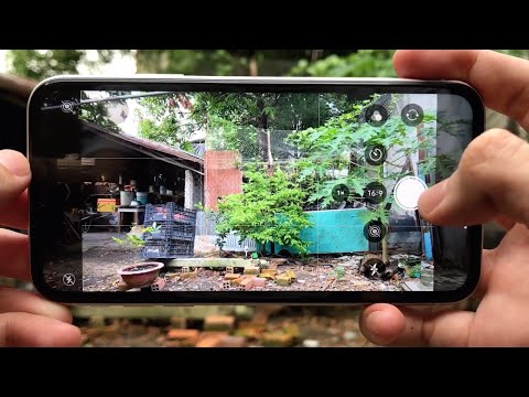 Iphone 11 Camera Test | 4K 60Fps, 24Fps, Wide, Slow Motion 240Fps, 120Fps, Panorama, Time-Lapse