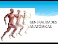 Generalidades anatómicas