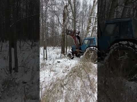 МТЗ-82 валит дерево