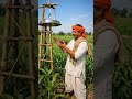Desi jugad shorts #viral #shorts