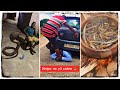 Nnipa No Bi Y3 Cobra 🐍 | This Is What Is Happening In Ghana 🇬🇭 Now Pt 23