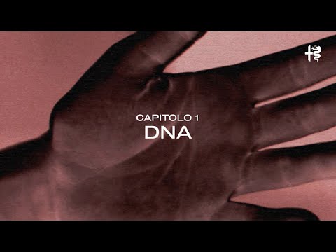 Alfa Romeo | INFRAROSSO | 01. DNA