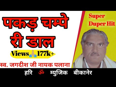      New Marwadi Song  Jagdish Palana