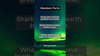 Daily Facts 6 #shorts #daily #facts