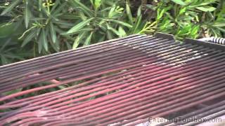 BBQ Chicken & Tri-tip Catering, Part 3 - Start a Catering Business - Catering Toolbox