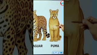 #naveensir #staticgk #rwa #rozgarwithankit #shortsvideo #shorts #upsc #rwasscexams