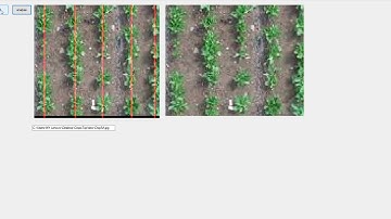 Crop Row Detection 2020 05 30 14 28 07