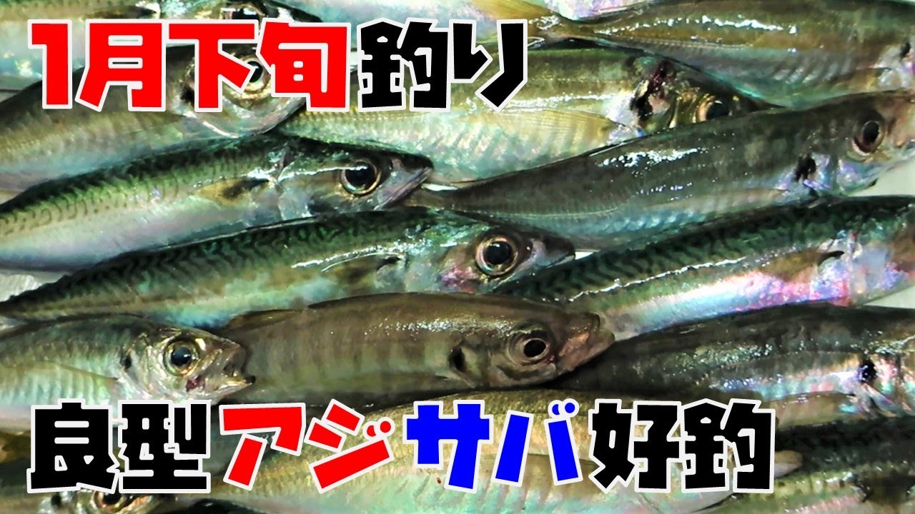 冬の遠投 足元サビキ釣り アジ サバ好釣 大分 Youtube