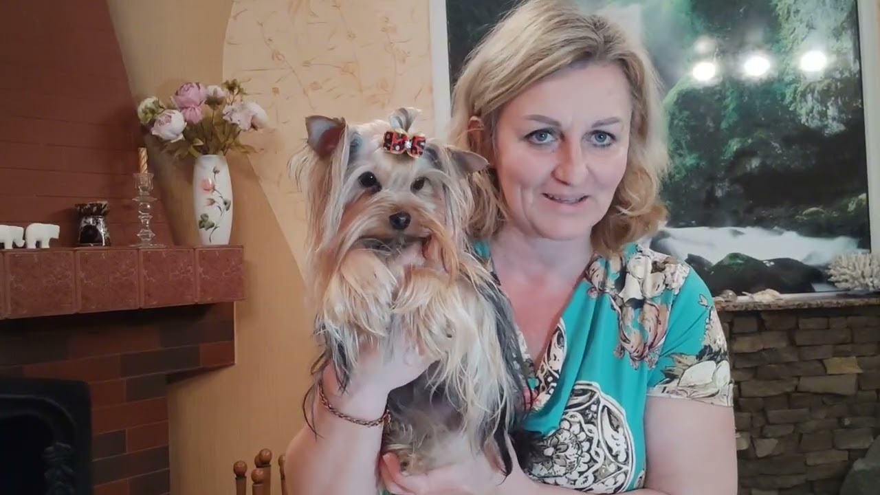 Нежная малышка Изабелька ждёт семью 🤗 Продажа доставка по миру+79788972514