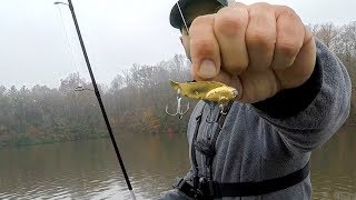 Silver buddy fishing Clearance