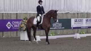 Zuccero S Novice Open Freestyle British Dressage Winter Championships 2013