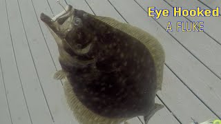 FISHING FOR FLUKE (FLOUNDER) ON THE HUNT FOR A DOORMAT FLATTY