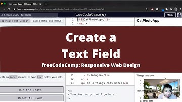 Create a Text Field (Basic HTML and HTML5) freeCodeCamp tutorial