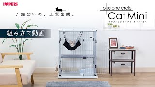 ボンビアルコン オンラインショップ / プラスワンサークル キャットミニ
