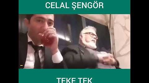Türkler cahil kaldılar w/Celal Şengör
