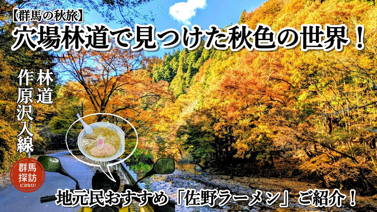 【群馬の秋旅】穴場林道・作原沢入線の紅葉！絶景が誘う秋色の世界と、オススメ佐野ラーメン！