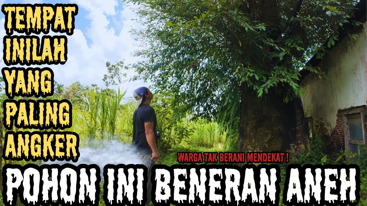 TEMPAT PALING ANGKER DI BANYUWANGI