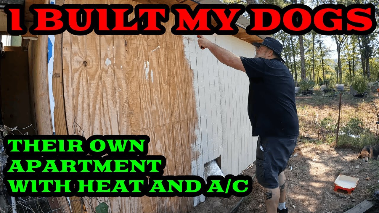 Dog Apartment Exterior Is Coming Along! Dog Apartment/Screened Patio