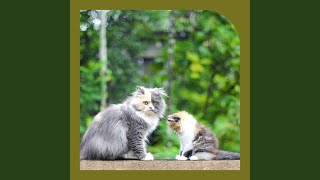 Sumptuous Dreaming Cats