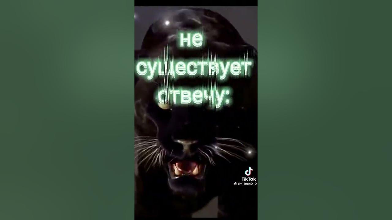 ропр - YouTube
