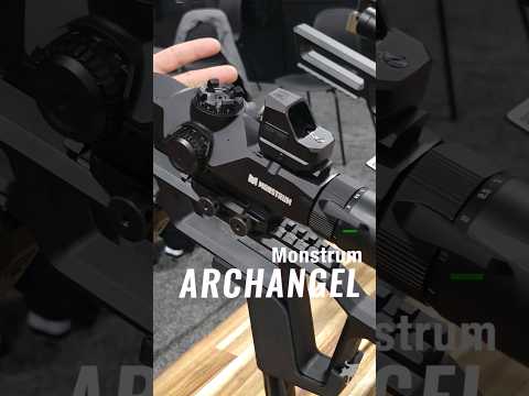 Halo scope IRL Monstrum Archangel #pewpew #halo #lpvo