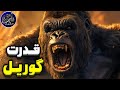 مقایسه قدرت یک گوریل در برابر یک انسان مقایسه قدرت یک گوریل در برابر یک انسان